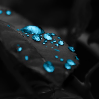 1920 x 1080 HD Wallpapers 2466